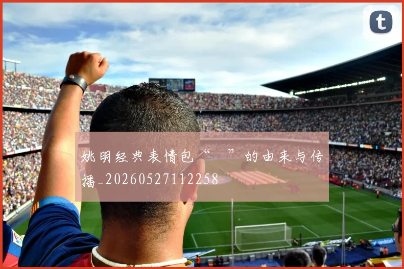 姚明经典表情包“囧”的由来与传播_20260527112258