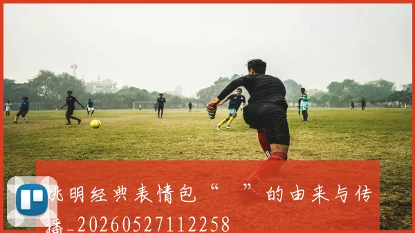 姚明经典表情包“囧”的由来与传播_20260527112258
