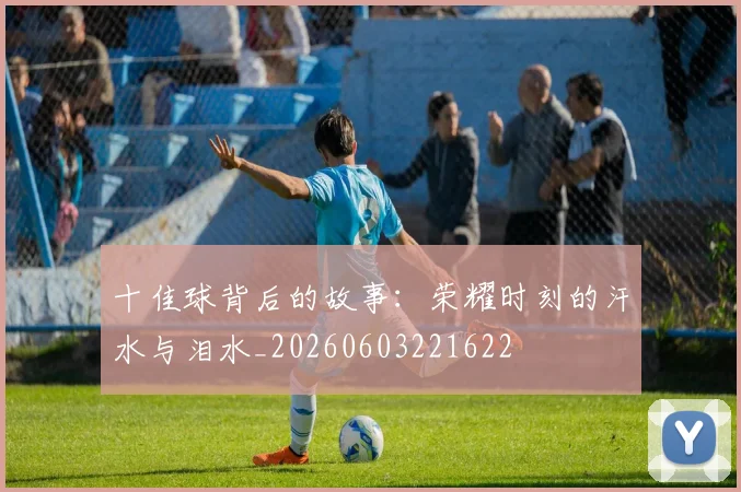 十佳球背后的故事:荣耀时刻的汗水与泪水_20260603221622